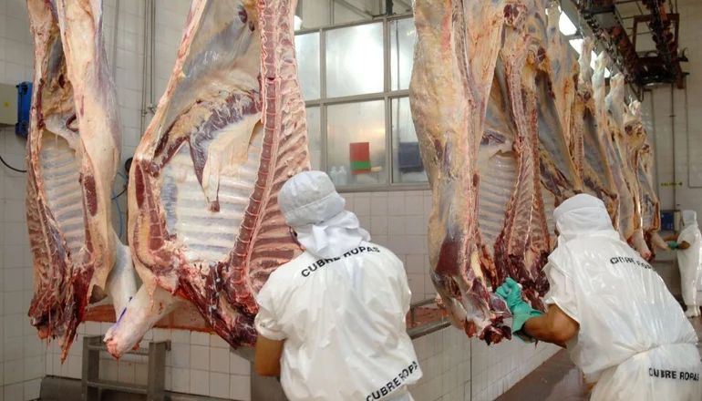 Carnes: el Gobierno hizo oficial la suspensión de las exportaciones