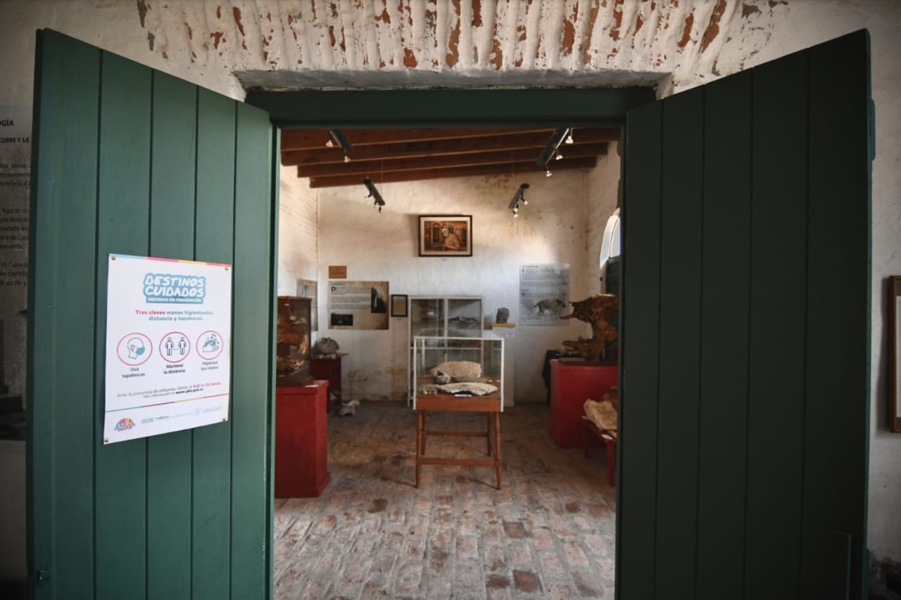 Visitas guiadas para instituciones educativas en el Museo Casa de Ameghino